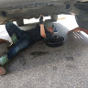 Meet your Posher, Bree